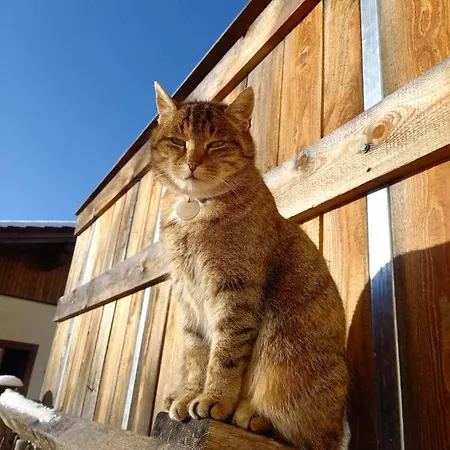 Eckstoa Hébergement de vacances Abtenau
