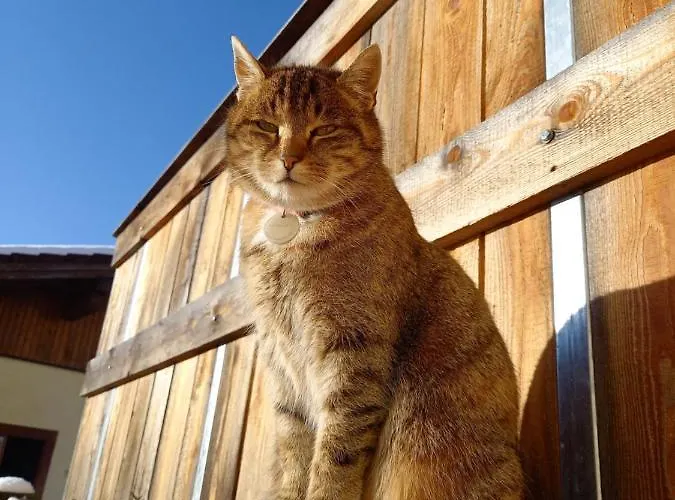 Eckstoa Vakantiehuis Abtenau